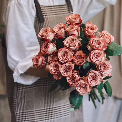 肯尼亚玫瑰复古月季园新品种