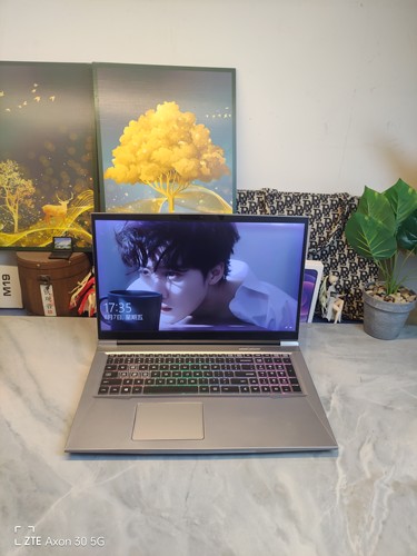 二手机械师T90 Plus-TB游戏本 17.3寸屏 i7六核GTX1650 512G固态