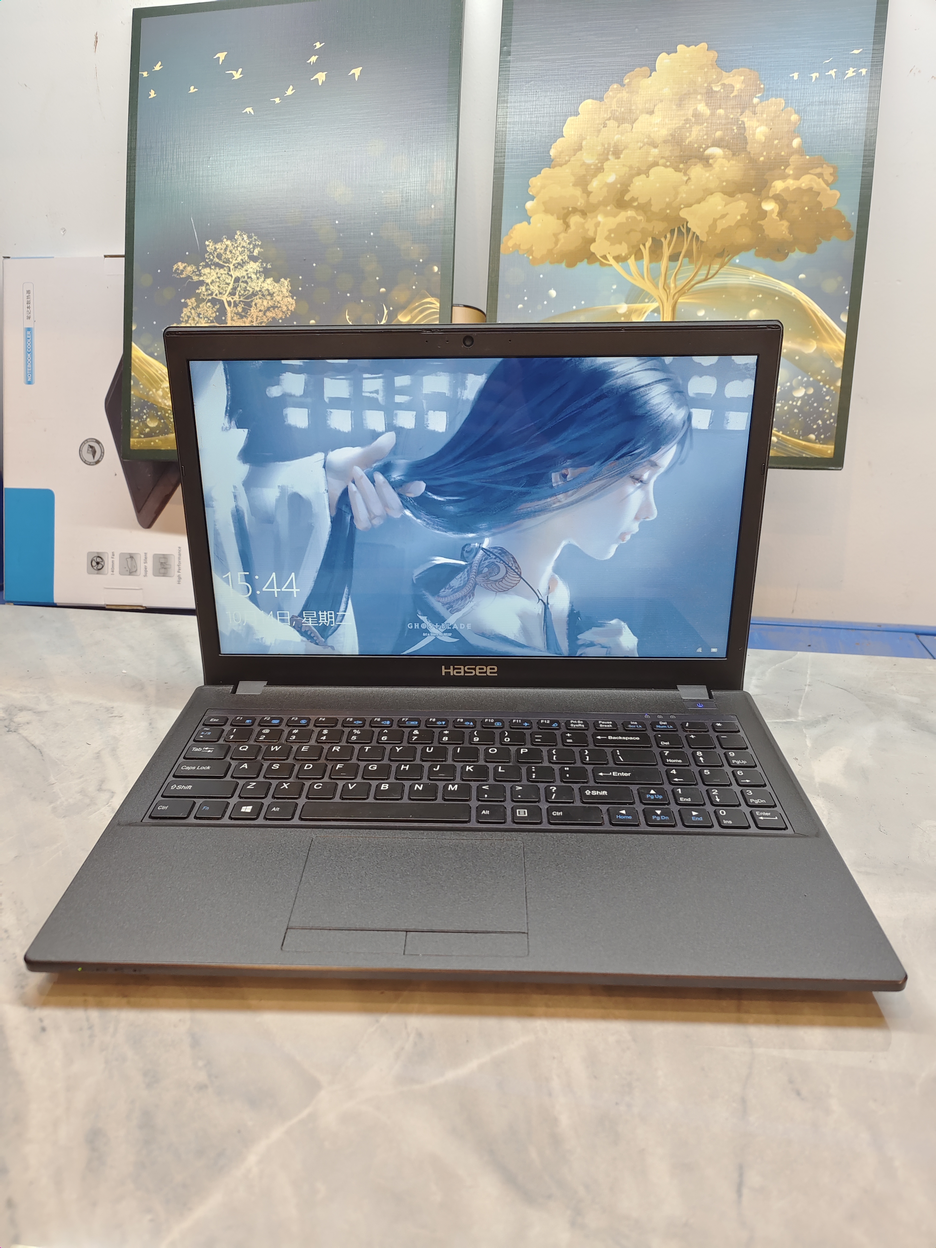 神舟笔记本电脑 四代i5双核 2G独显 英雄联盟 穿越火线 守望先锋