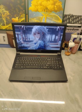 二手神舟战神N8xEJEK游戏本 15.5寸大屏 i7六核GTX1050Ti 4G独显