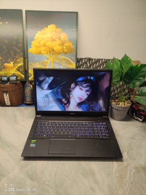 二手神舟NBxxTA游戏本 16寸大屏 i5六核GTX1650 4G独显  144hz