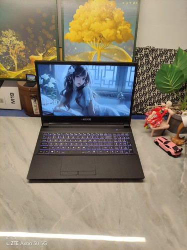 二手神舟NH50_70RA游戏本 15.5寸大屏 i7六核GTX1650 4G独显