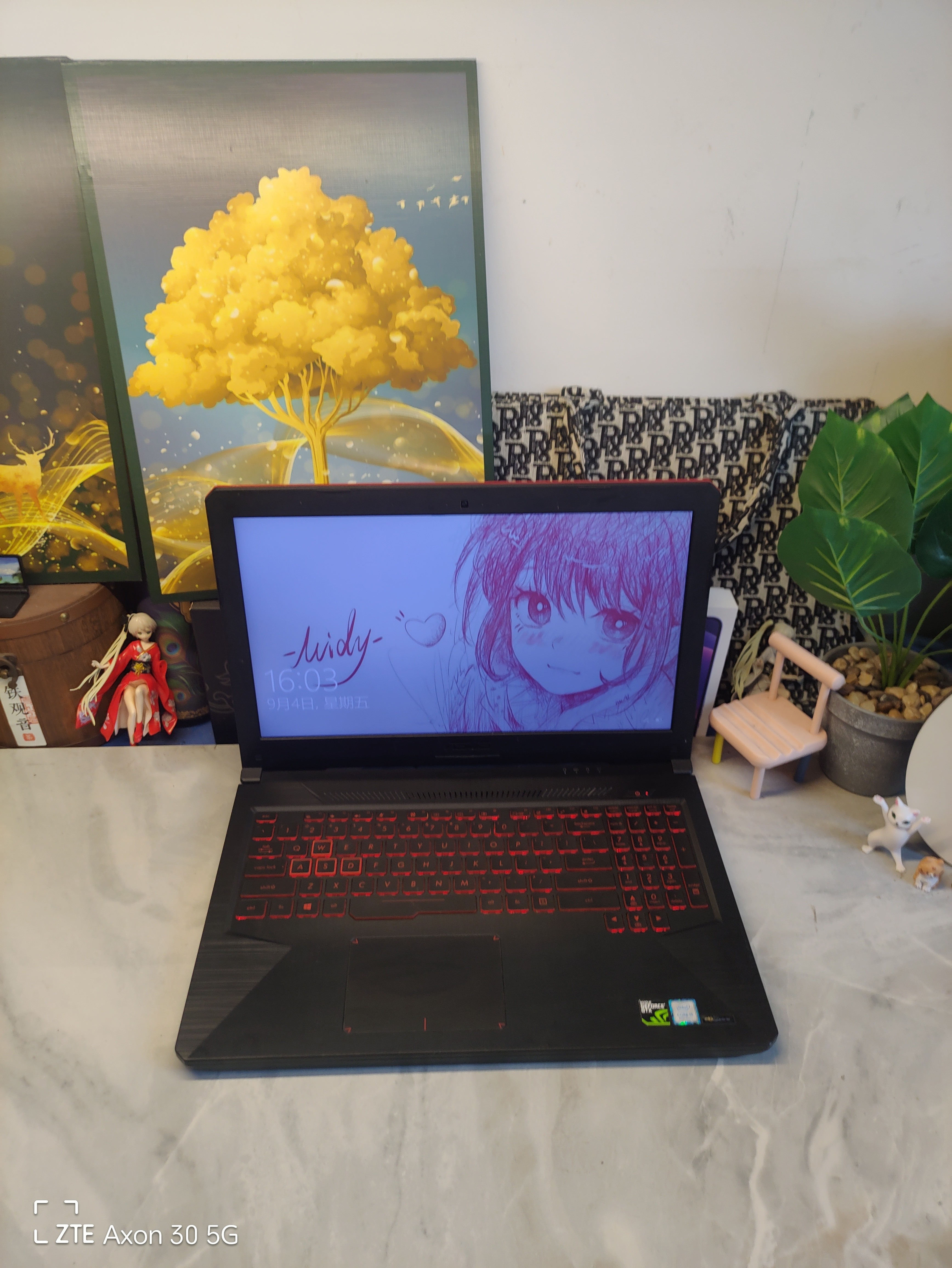 二手华硕TUF FX504GD游戏本 15.5寸大屏 i5四核GTX1050 4G独显图片