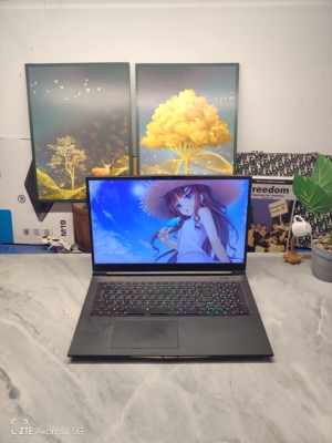 二手机械革命游戏本17寸144Hz大屏自带机械键盘 i5GTX1060 6G独显