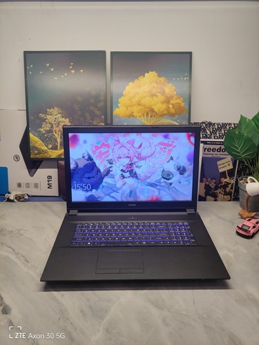 二手神舟游戏本 120hz 17寸大屏 10代i5 RTX2060 6G独显 32G内存
