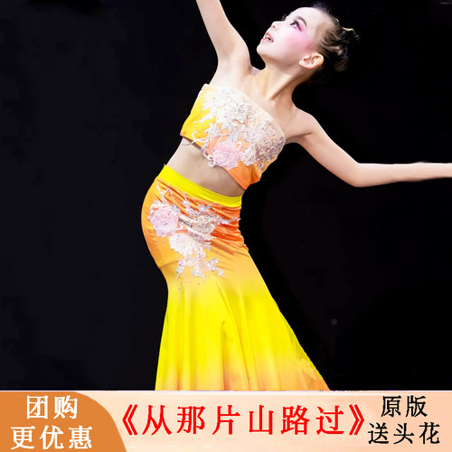 傣族舞孔雀舞鱼尾裙从那片山路过