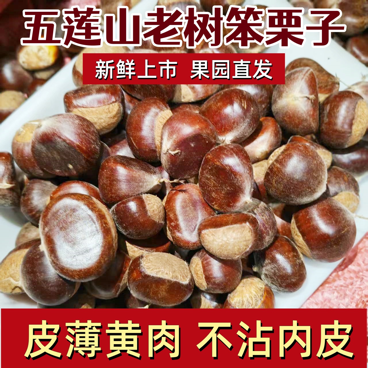2025新货野生五莲山小栗小油栗子毛栗板栗黄心新鲜板栗生带壳甜糯