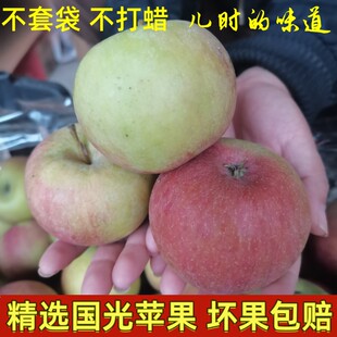 正宗小国光苹果新鲜水果老品种小果光酸甜苹果老人老式笨苹果国光