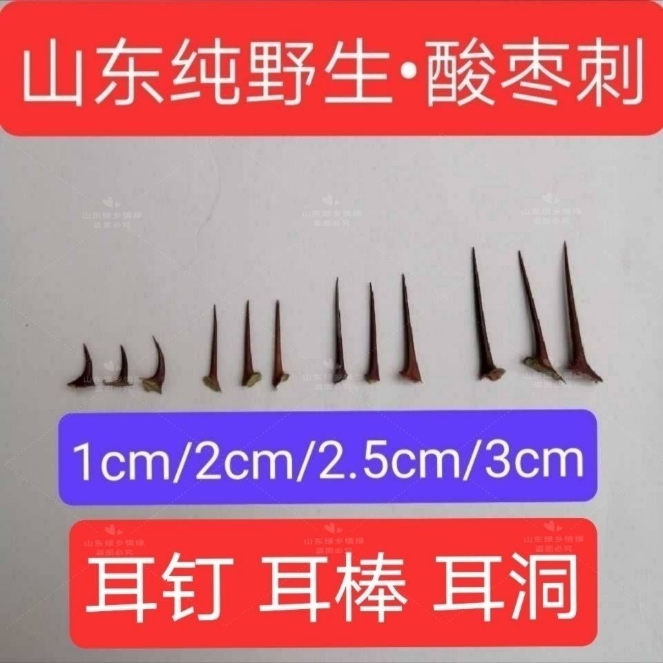 野生酸枣刺养耳女消炎止痛
