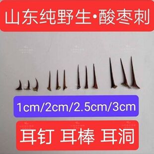 新鲜酸枣刺野生现采酸枣刺山枣刺澡树刺耳钉耳针耳棒茶棒茶梗耳洞