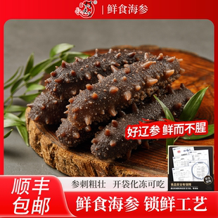 灯火岛鲜食海参开袋即食大连生鲜辽刺独立包装海鲜礼盒8A免泡5-7