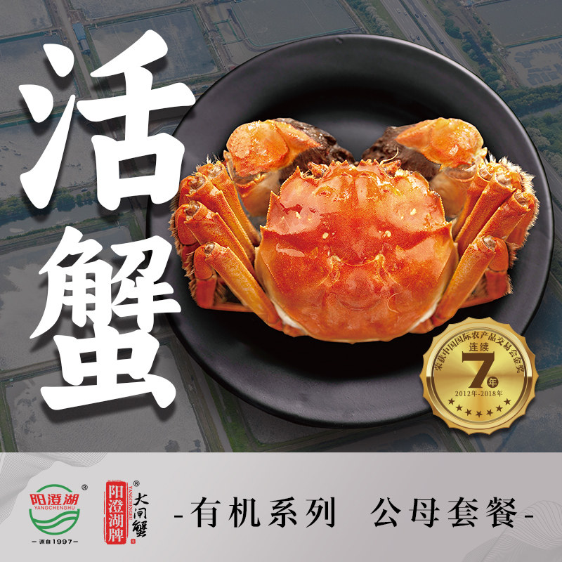 活蟹阳澄湖牌大闸蟹有机出口阳澄湖大闸蟹鲜活公母礼盒阳澄湖牌
