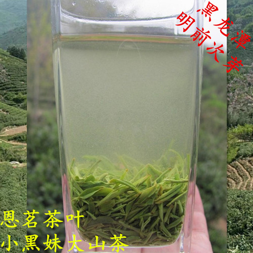 板栗香黑龙潭旱茶明前信阳毛尖