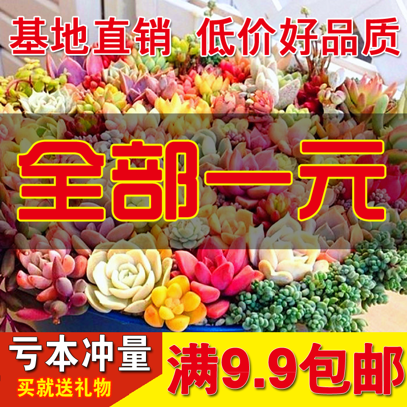 带你看骨科
