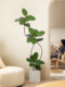 饰室内沙发假植物 饰品古典装 橡胶树模拟绿色植物大型客厅落地式 装