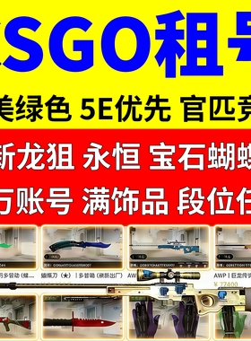 CSGO租号CS2完官匹美5E龙狙永恒野荷宝石爪蝴蝶刀M9迈阿密潘多拉