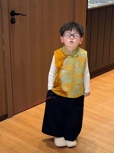 2025冬季新中国风小童中性无袖立领马甲旗袍马甲上衣盘扣斜襟马甲