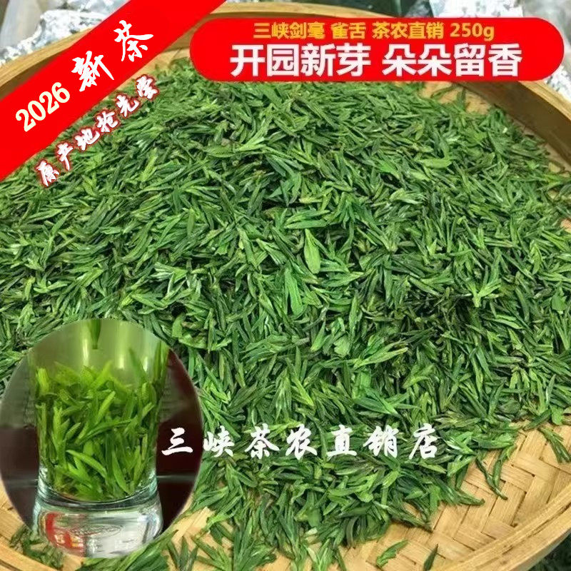 2026新茶绿茶邓村贡芽峡州碧峰宜昌三峡剑毫雀舌毛尖五峰恩施玉露