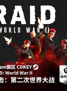 Steam 正版 PC 游戏 突击：第二次世界大战 RAID: World War II