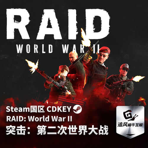 Steam 正版 PC 游戏 突击：第二次世界大战 RAID: World War II