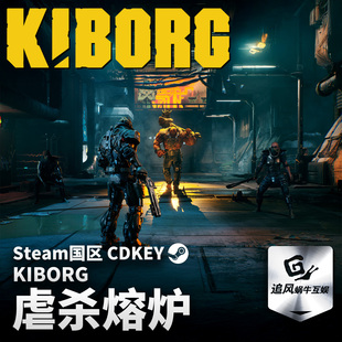 Steam 正版 PC 游戏 虐杀熔炉  国区激活码 CDKEY
