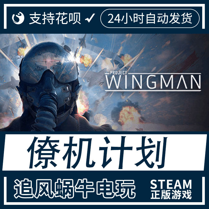 pc正版 steam正版游戏 僚机计划  project wingman  国区礼物