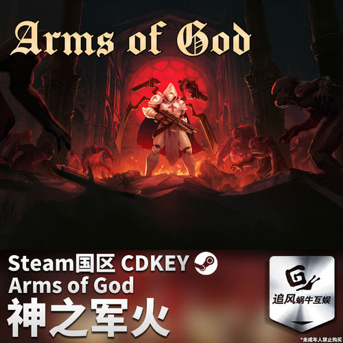 Steam 正版 PC 游戏 神之军火 国区激活码 CDKEY