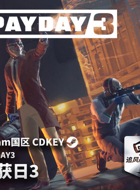 Steam 正版 PC 游戏 PAYDAY3 (收获日3)   国区激活码 CDKEY