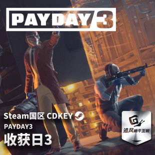 Steam 正版 PC 游戏 PAYDAY3 (收获日3)   国区激活码 CDKEY