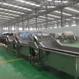 中房蔬清洗机 菜果蔬洗成套设备 全动净菜加工清洗流清NGL水自线