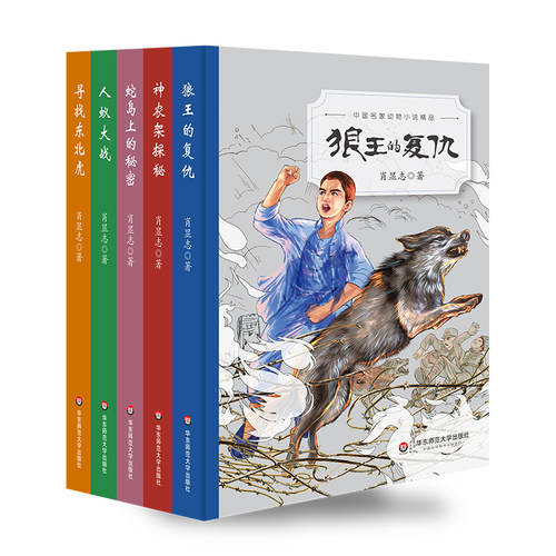 东北虎小说素材模板 东北虎小说图片下载 小麦优选