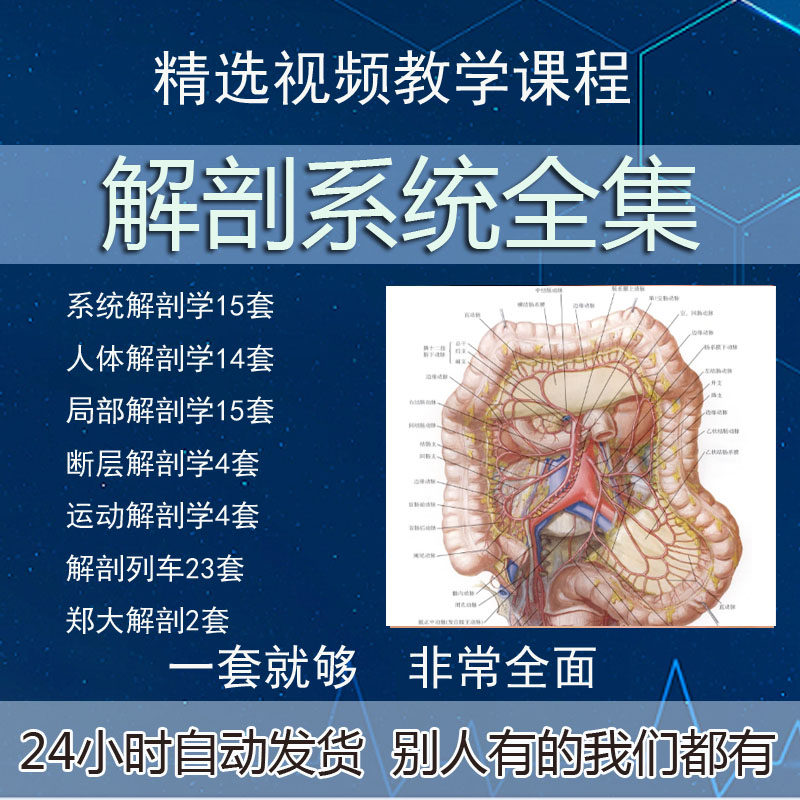 解剖列车课程人体运动功能肌肉系统断层局部艾氏视频全集