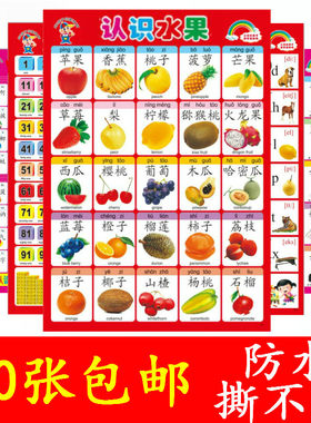 防水婴儿早教看图启蒙宝宝字