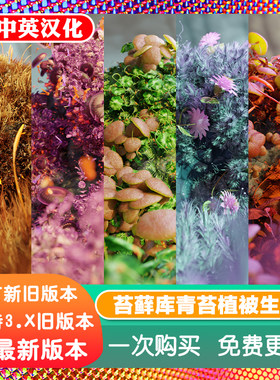 Blender资产 Mossify Biome 12苔藓环境生物群落青苔植被森林景观