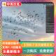 生物粒子系统飞虫蝴蝶鸟类昆虫 3.5 blender插件中文 Spyderfy