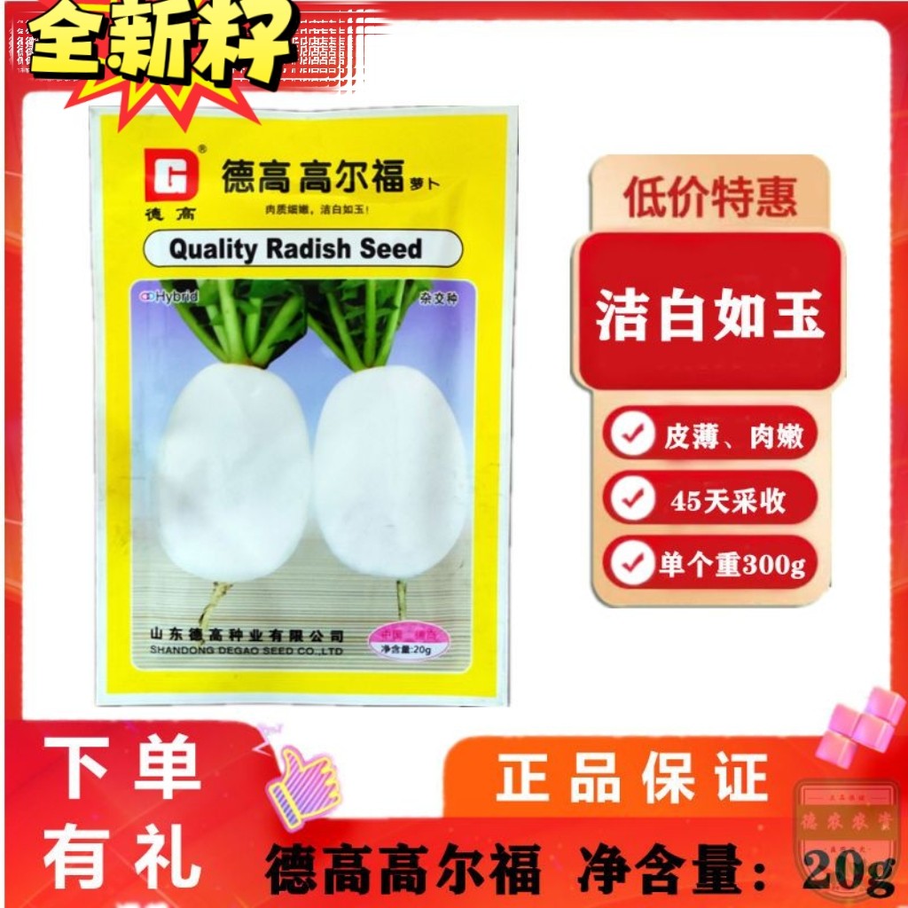 德高高尔福小圆萝卜种子45天极早熟春秋季脆甜鲜食丽雪扬州圆萝卜