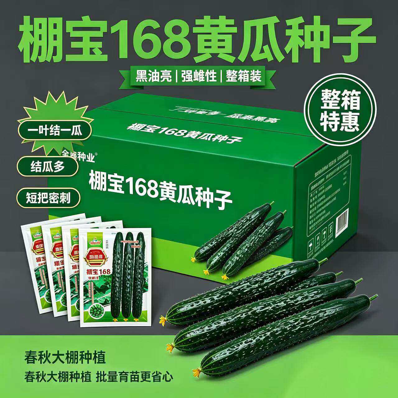 棚宝168强雌型黄瓜种子早熟杂交皮墨绿色瓜把短刺瘤肉绿抗病春秋