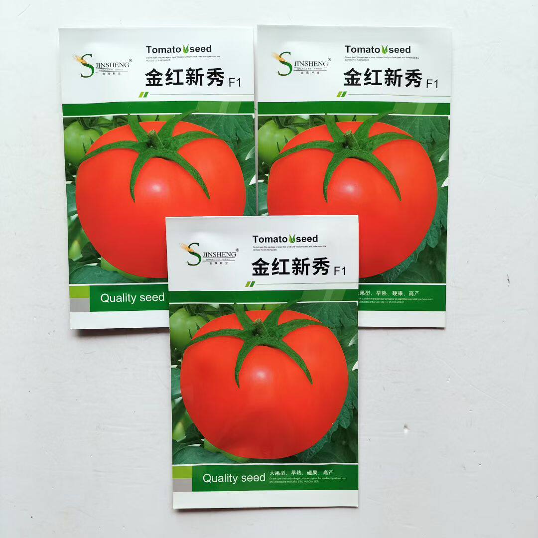 金红新秀自封顶有限生长型番茄种子 果实红色色泽靓丽籽
