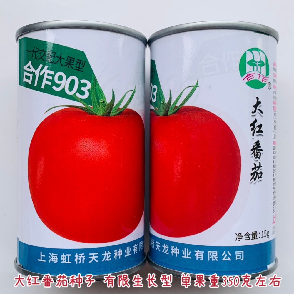 903大红番茄种子有限生长自封顶大果型酸甜可口西红柿种籽孑