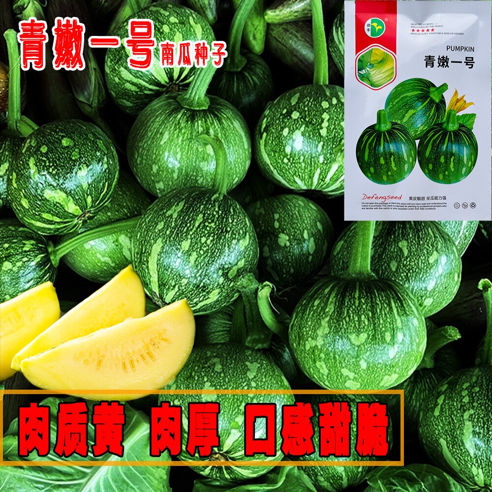 青嫩一号西葫芦种子一串铃小青瓜种籽早熟嫩南瓜青瓜圆形西葫芦孑