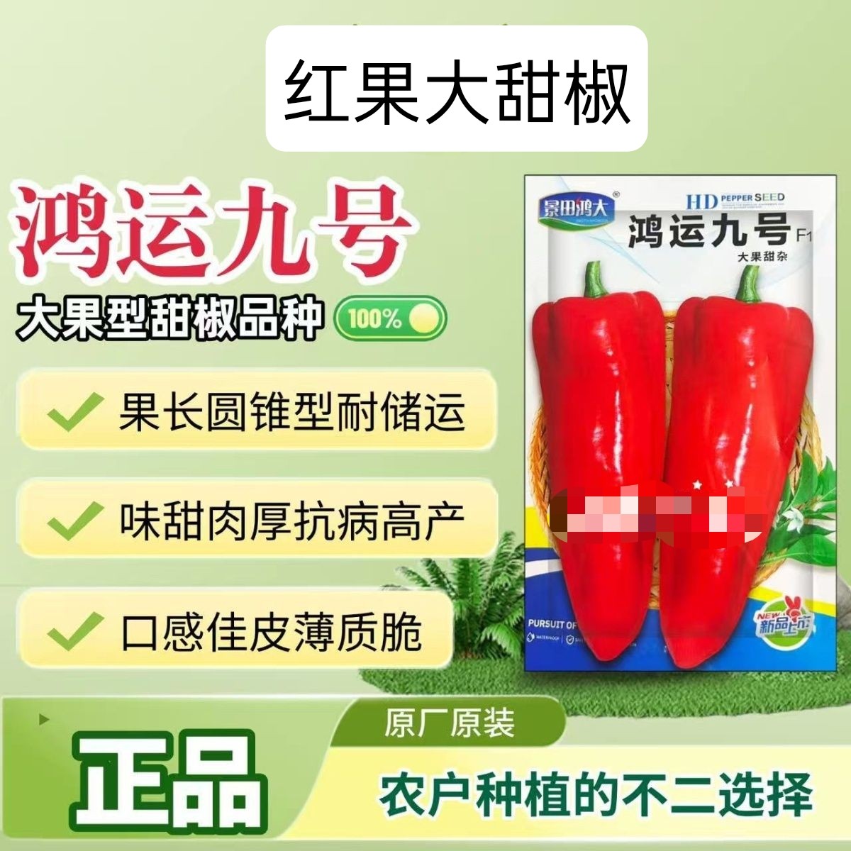 鸿运九号大果甜椒种子中早熟果面光滑肉厚微辣抗病强高产辣椒种孑