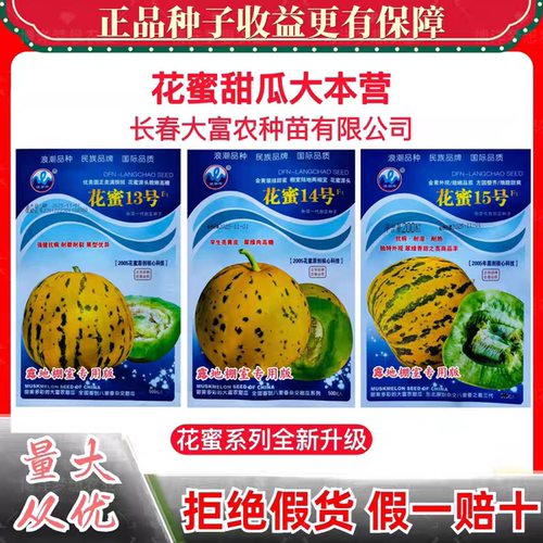 浪潮牌花蜜3/4/8/11/12/13/14/15号花皮甜瓜种子抗病超甜绿肉甜瓜