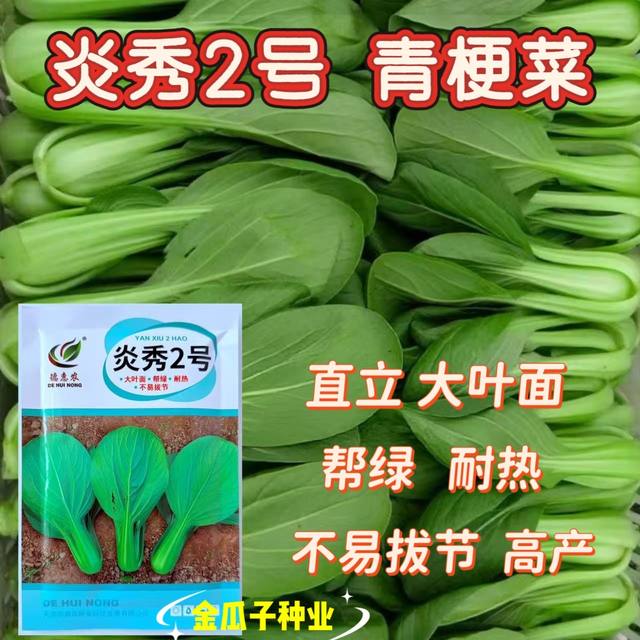 德惠农炎秀2号大叶面绿帮青梗菜种子耐高温耐湿不易拔节原装100克
