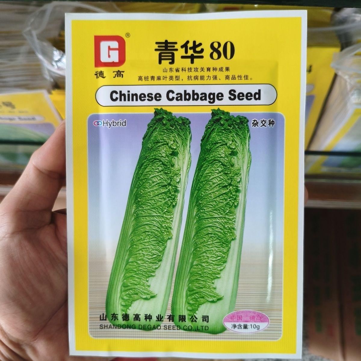德高青华80大白菜种子高桩青麻叶长直筒白菜种籽叶球拧抱生食味甜