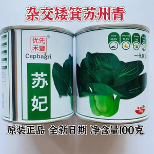 苏妃青菜速生耐热耐寒抗病直立