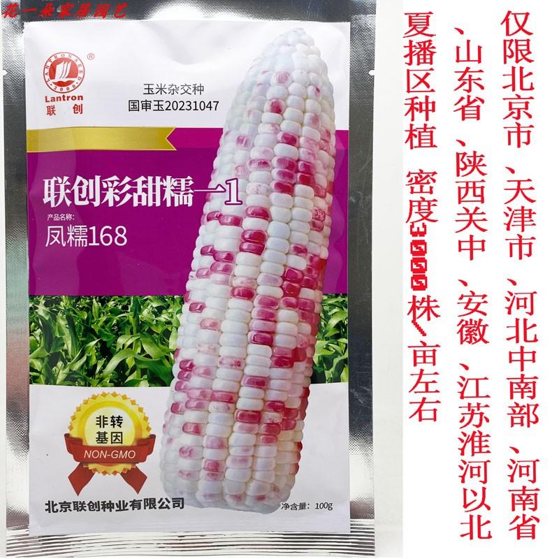 凤糯168彩甜糯玉米种籽高产大棒非转甜加糯花玉米种子100克