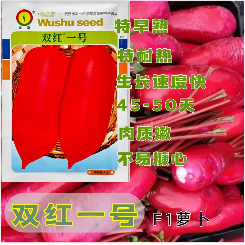 双红一号萝卜种子红萝卜红皮白肉F1大萝卜种籽抗病高产耐高温萝卜