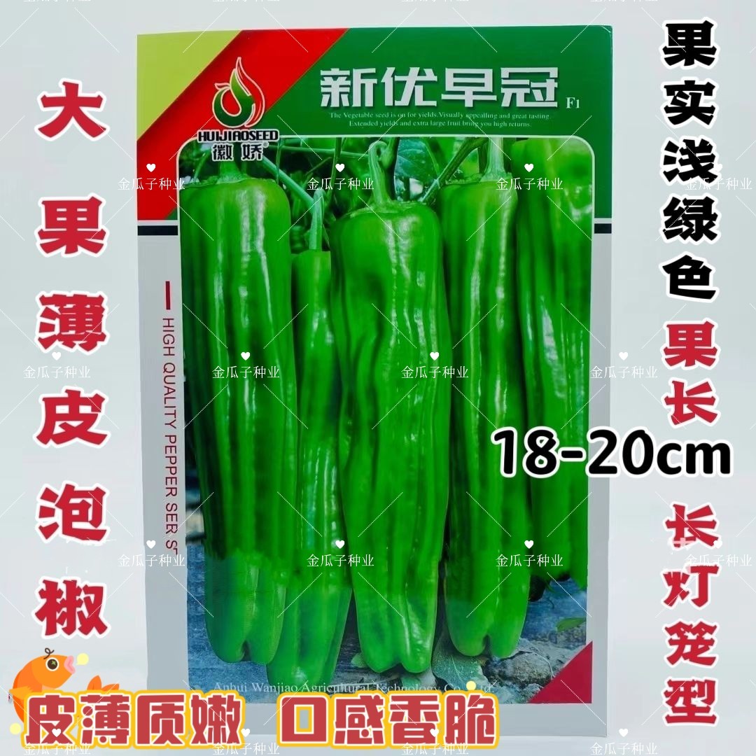 新优早冠辣椒种子早熟灯笼椒种子薄皮高产青椒种子大果型泡椒种子