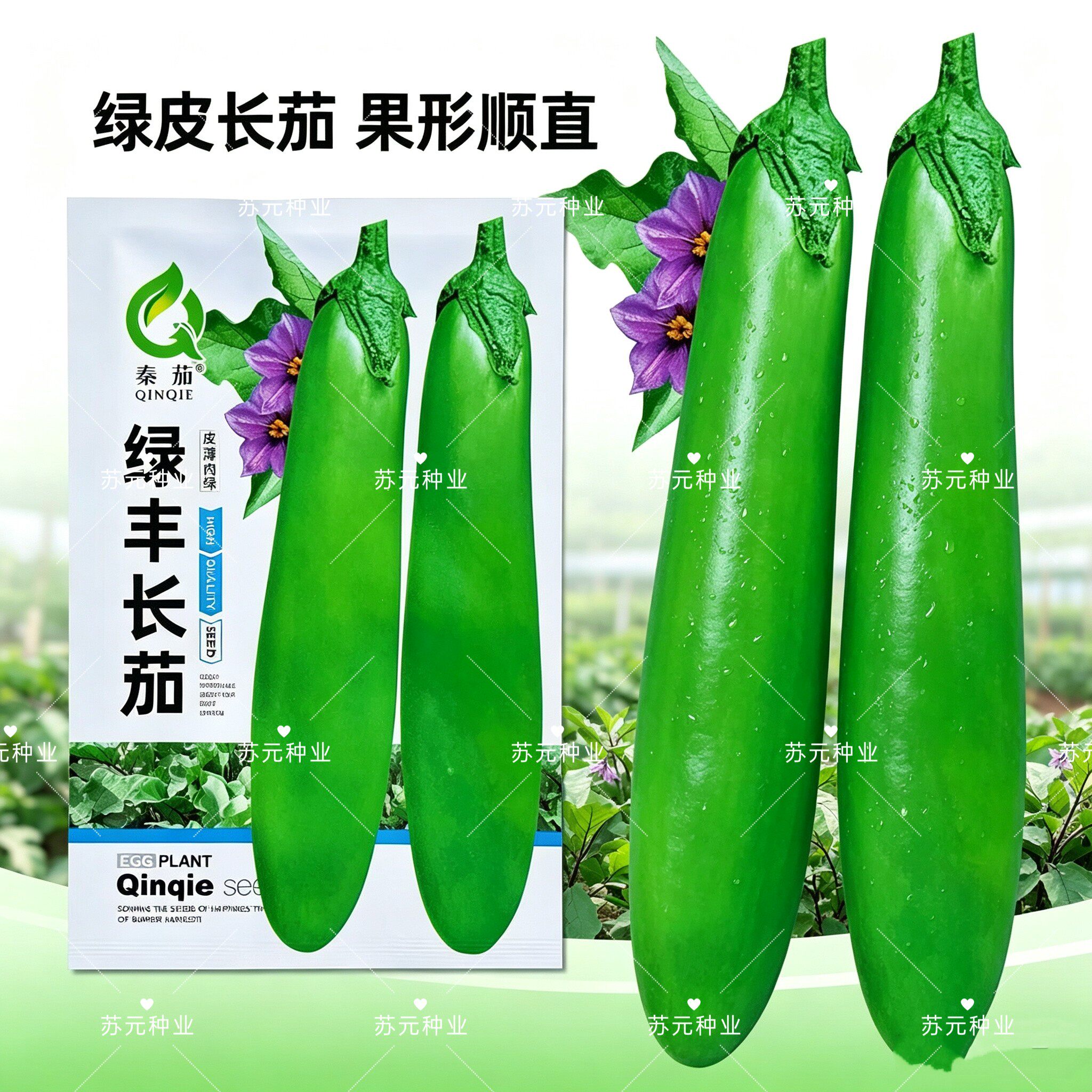绿丰长茄茄种子青皮茄瓜果肉细腻皮薄绿茄子种子少青圆茄蔬菜种子