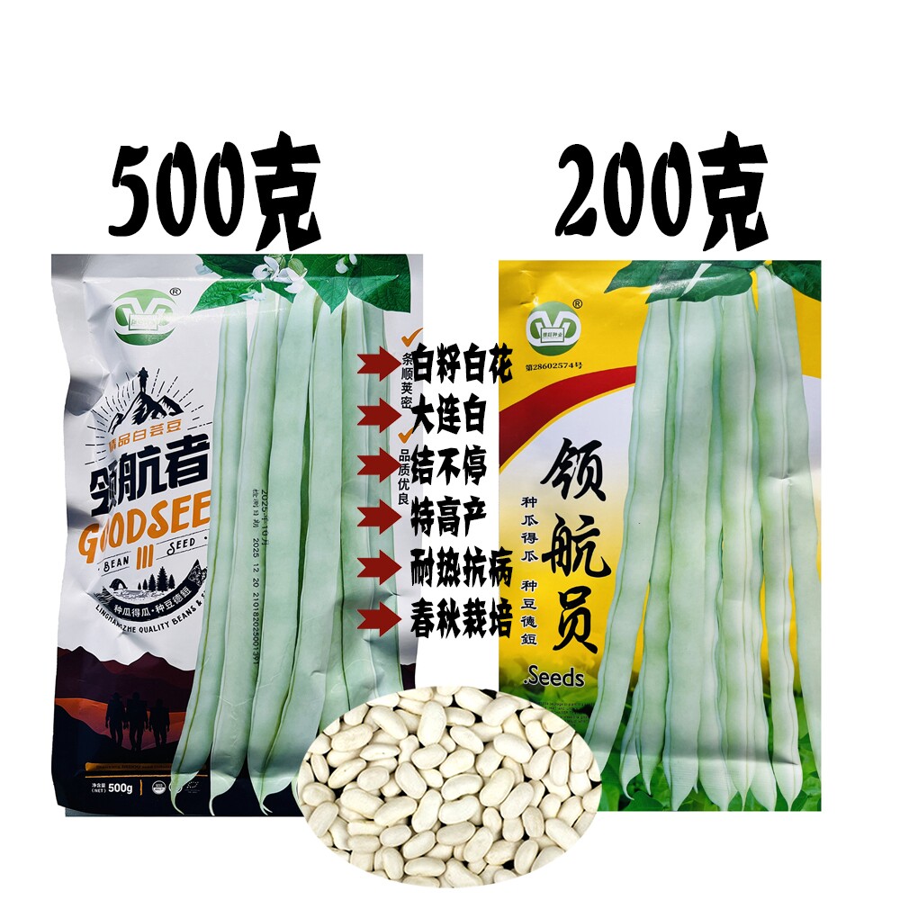 领航员架豆王种子九粒白芸豆角早熟四季豆种籽春季播高产蔬菜种籽
